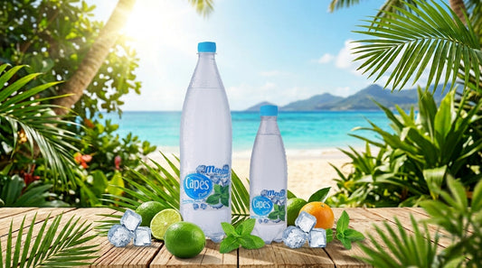 CAPES AROMATISE MENTHE 6X1.25L
